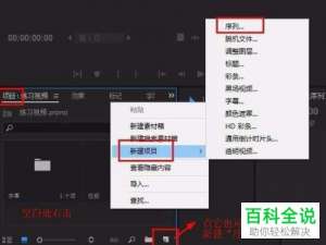 电脑PR软件字幕轨道遮罩效果怎么制作