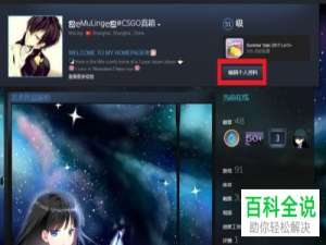 电脑STEAM软件个人资料界面的蓝色标题文本怎么添加