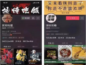 抖音必备神器有哪些（拍抖音必备的手机工具）