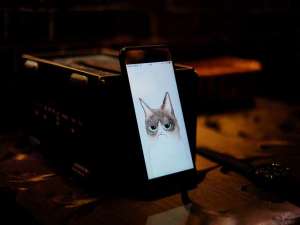 抖音出现问题怎么解决（抖音账号显示异常怎么处理）