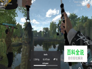 钓鱼星球纽约攻略