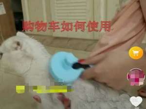 抖音怎么加淘宝链接? 抖音开通淘宝的教程