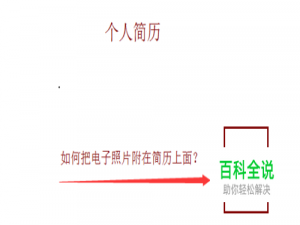 电子简历中如何插入电子照片？