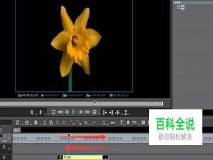 edius怎么让视频倒放