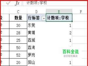 EXCEL中数据透视表的计数项如何变成求和项