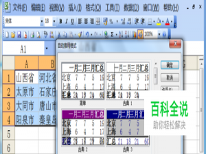 Excel2003如何使用自动套用格式