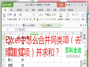 Excel中怎么合并同类项（去除重复项）并求和？