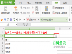 excel如何在WPS表格中快速设置多个下拉选项