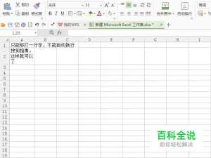 Excel表格里怎么输入两行文字