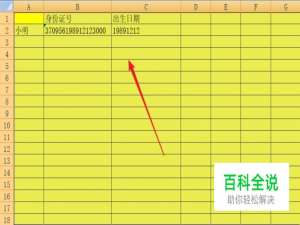 excel怎样利用身份证号自动生成出生年月