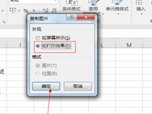excel表格中的数据怎么复制为图片?