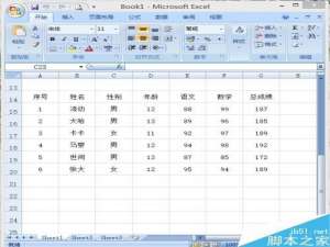 excel2007对编辑的内容进行排序和筛选方法图解