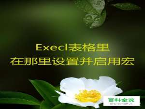 Execl表格里在那里设置并启用宏