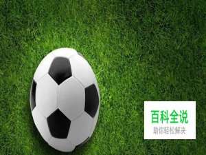 FIFAOL4中后卫推荐