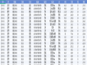 Finereport从入门到精通（finebi入门指南）
