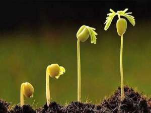 发现孩子玩游戏家长应该怎么做