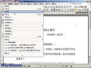 关闭Word2003文档的正确方法