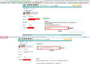 谷歌浏览器不支持网银的怎么解决?