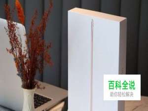 国行iPad Pro 9.7开箱图赏