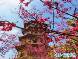 个性签名唯美短句（手机锁屏签名语录唯美）