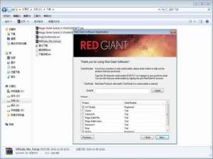 红巨星插件Magic Bullet Suite 13安装及汉化图文教程