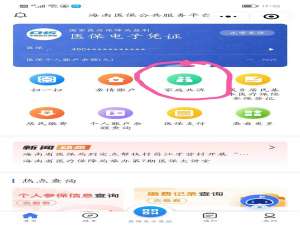 海南医保怎么网上缴费（海南医保卡怎么用）