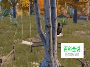 和平精英怎么坐秋千，秋千位置在哪？