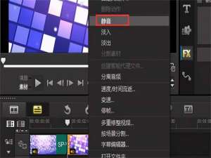 会声会影原视频消音（会声会影怎么给视频消音）
