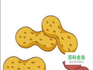 花生简笔画设计