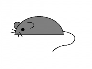 画图工具怎么画老鼠? 画图软件画小老鼠的教程