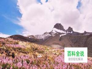 画图怎么调整图片大小