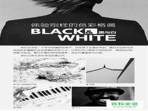 黑与白的别样格调