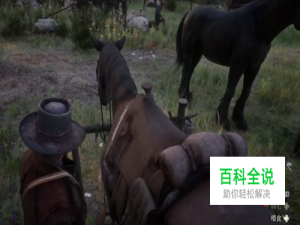 荒野大镖客2 怎么给马刷毛