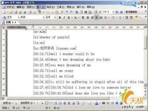 活用WPS表格转换为歌词句首字母改大写