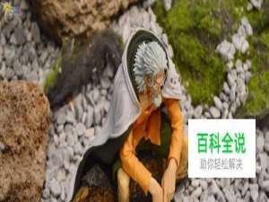 海贼王中索隆阿修罗暗示雷利冥王之名的含义