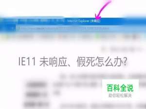 IE11经常卡死、 未响应怎么办？
