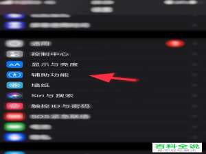 iPhone苹果手机的字体功能如何设置