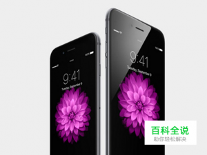iPhone6 Plus港版怎么预定?iPhone6港版预约流程