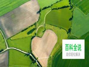 iPhone数据怎么迁移