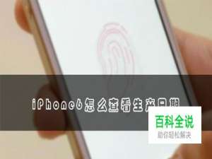 iPhone6怎么查看生产日期
