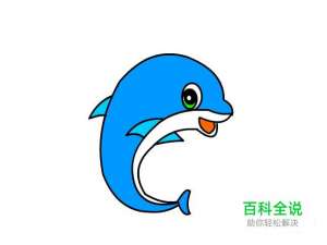 简笔画：如何使用Flash绘制小海豚