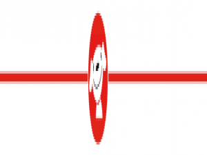 京东店铺类型有哪些（京东自营店怎么开）