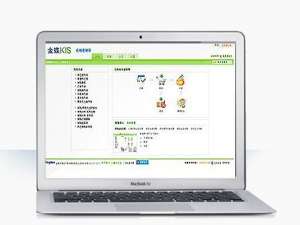 金蝶在线进销存软件好用吗?