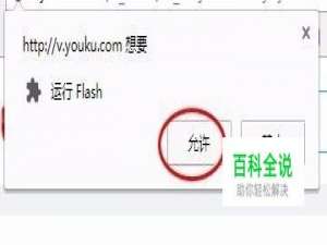 解决始终允许flash播放器在谷歌浏览器上使用