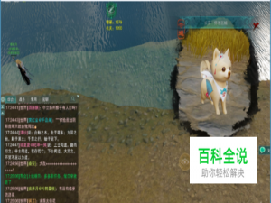 剑三财财·[宠物奇缘·一念间]·长安汪