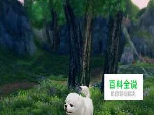 剑三静静任务攻略