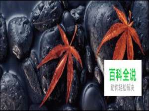 静物摄影核心技法三例