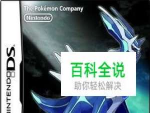 口袋妖怪珍珠图文攻略