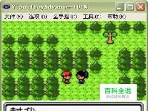 口袋妖怪单机版日记分页在哪里