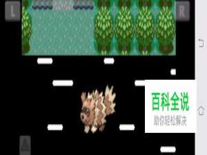 口袋妖怪绿宝石一字斩在哪得